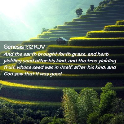 Picture 02 - Genesis 1:12 KJV - And the earth brought forth grass, and herb - Bible Verse Picture