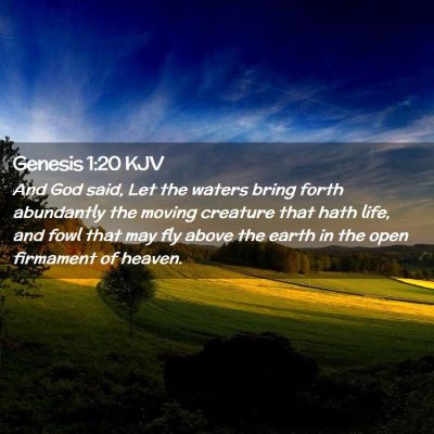 Picture 02 - Genesis 1:20 KJV - And God said, Let the waters bring forth - Bible Verse Picture