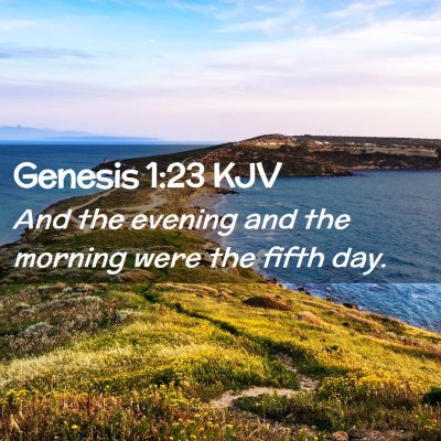 Picture 02 - Genesis 1:23 KJV - And the evening and the morning were the fifth - Bible Verse Picture