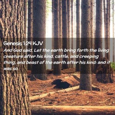 Picture 02 - Genesis 1:24 KJV - And God said, Let the earth bring forth the - Bible Verse Picture