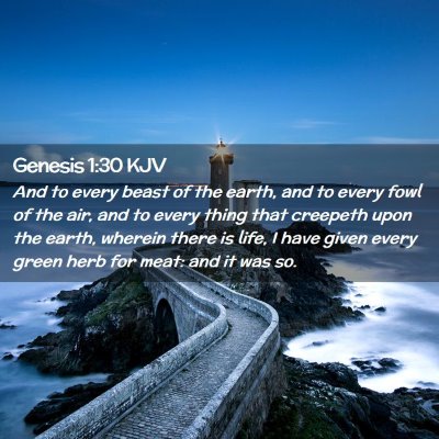 Picture 02 - Genesis 1:30 KJV - And to every beast of the earth, and to every - Bible Verse Picture