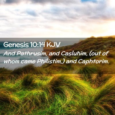 Picture 02 - Genesis 10:14 KJV - And Pathrusim, and Casluhim, (out of whom came - Bible Verse Picture