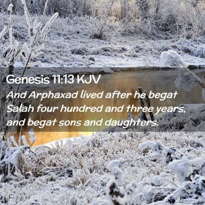 Picture 02 - Genesis 11:13 KJV - And Arphaxad lived after he begat Salah four - Bible Verse Picture