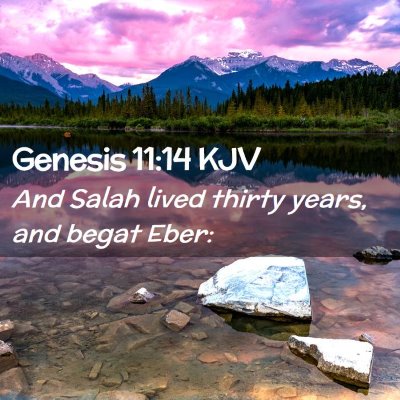 Picture 02 - Genesis 11:14 KJV - And Salah lived thirty years, and begat - Bible Verse Picture