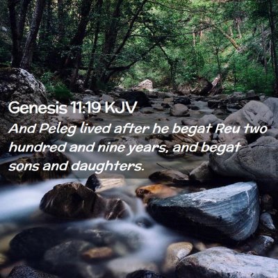 Picture 02 - Genesis 11:19 KJV - And Peleg lived after he begat Reu two hundred - Bible Verse Picture