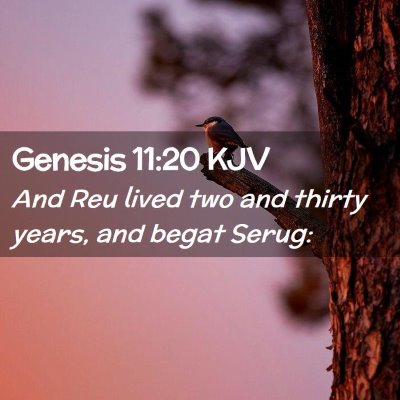 Picture 02 - Genesis 11:20 KJV - And Reu lived two and thirty years, and begat - Bible Verse Picture