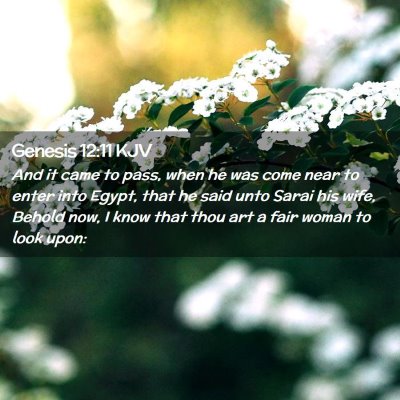 Picture 02 - Genesis 12:11 KJV - And it came to pass, when he was come near to - Bible Verse Picture