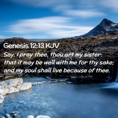 Picture 02 - Genesis 12:13 KJV - Say, I pray thee, thou art my sister: that it may - Bible Verse Picture