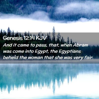 Picture 02 - Genesis 12:14 KJV - And it came to pass, that, when Abram was come - Bible Verse Picture