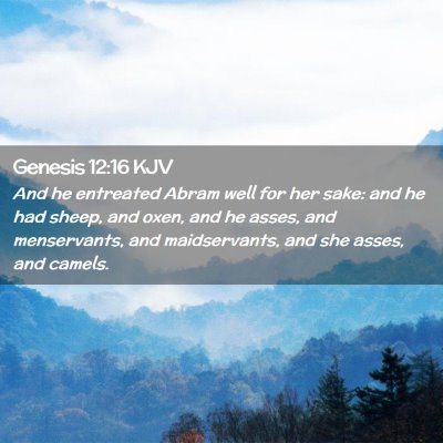 Picture 02 - Genesis 12:16 KJV - And he entreated Abram well for her sake: and he - Bible Verse Picture