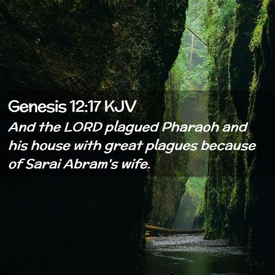Picture 02 - Genesis 12:17 KJV - And the LORD plagued Pharaoh and his house with - Bible Verse Picture