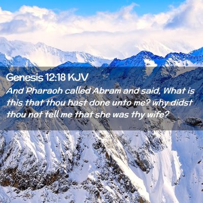 Picture 02 - Genesis 12:18 KJV - And Pharaoh called Abram and said, What is this - Bible Verse Picture