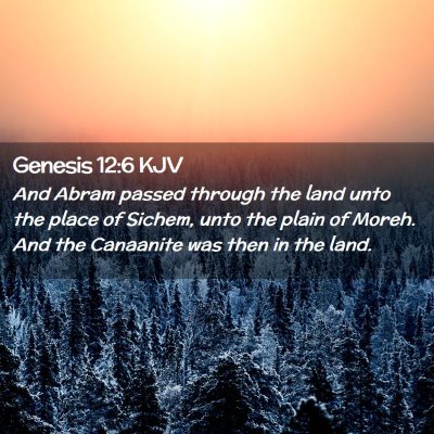 Picture 02 - Genesis 12:6 KJV - And Abram passed through the land unto the place - Bible Verse Picture