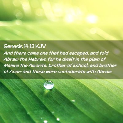 Picture 02 - Genesis 14:13 KJV - And there came one that had escaped, and told - Bible Verse Picture