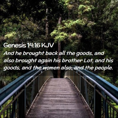 Picture 02 - Genesis 14:16 KJV - And he brought back all the goods, and also - Bible Verse Picture