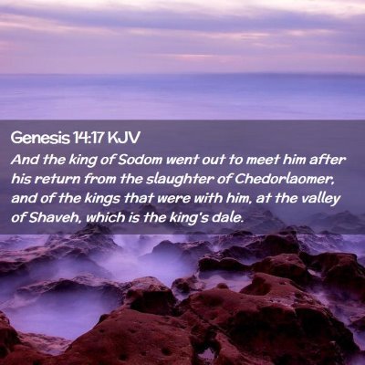 Picture 02 - Genesis 14:17 KJV - And the king of Sodom went out to meet him after - Bible Verse Picture