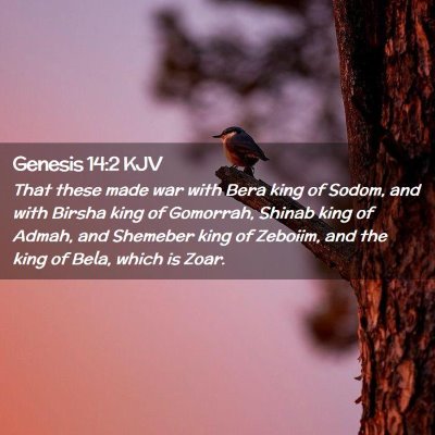 Picture 02 - Genesis 14:2 KJV - That these made war with Bera king of Sodom, and - Bible Verse Picture