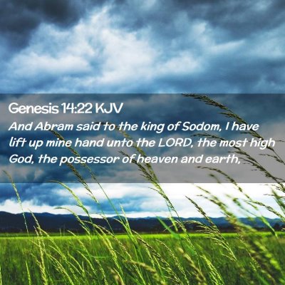 Picture 02 - Genesis 14:22 KJV - And Abram said to the king of Sodom, I have lift - Bible Verse Picture