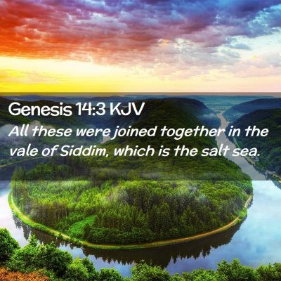 Picture 02 - Genesis 14:3 KJV - All these were joined together in the vale of - Bible Verse Picture