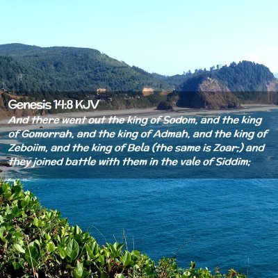 Picture 02 - Genesis 14:8 KJV - And there went out the king of Sodom, and the - Bible Verse Picture