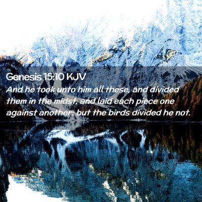 Picture 02 - Genesis 15:10 KJV - And he took unto him all these, and divided them - Bible Verse Picture