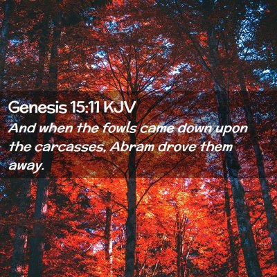 Picture 02 - Genesis 15:11 KJV - And when the fowls came down upon the carcasses, - Bible Verse Picture