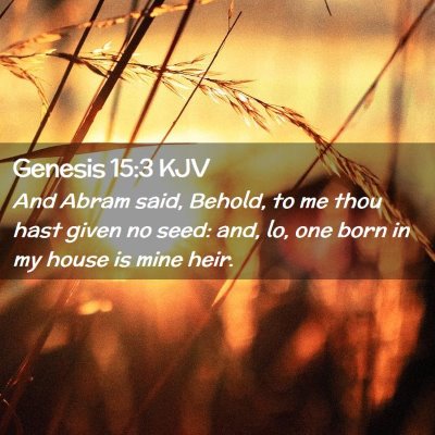 Picture 02 - Genesis 15:3 KJV - And Abram said, Behold, to me thou hast given no - Bible Verse Picture