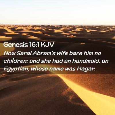 Picture 02 - Genesis 16:1 KJV - Now Sarai Abram's wife bare him no children: and - Bible Verse Picture