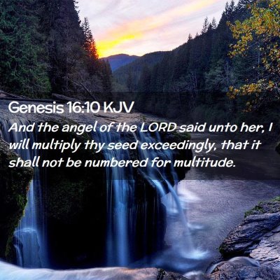 Picture 02 - Genesis 16:10 KJV - And the angel of the LORD said unto her, I will - Bible Verse Picture