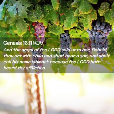 Picture 02 - Genesis 16:11 KJV - And the angel of the LORD said unto her, Behold, - Bible Verse Picture