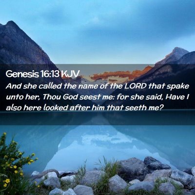 Picture 02 - Genesis 16:13 KJV - And she called the name of the LORD that spake - Bible Verse Picture
