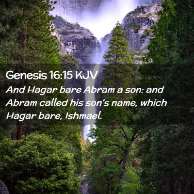 Picture 02 - Genesis 16:15 KJV - And Hagar bare Abram a son: and Abram called his - Bible Verse Picture