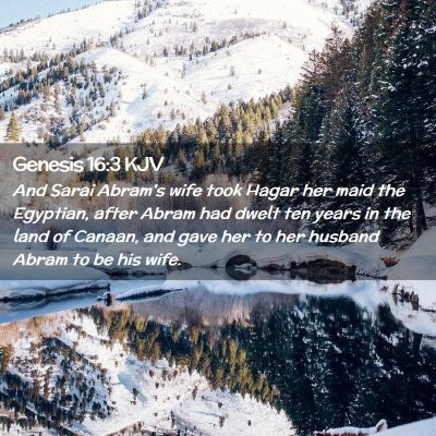 Picture 02 - Genesis 16:3 KJV - And Sarai Abram's wife took Hagar her maid the - Bible Verse Picture