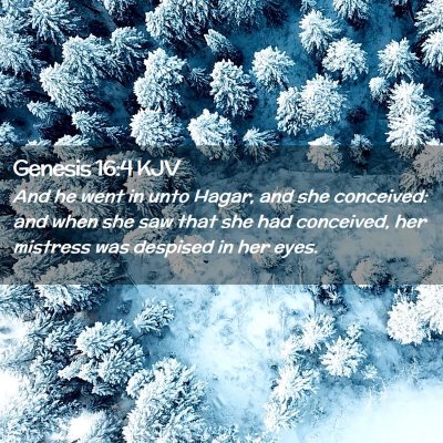 Picture 02 - Genesis 16:4 KJV - And he went in unto Hagar, and she conceived: and - Bible Verse Picture