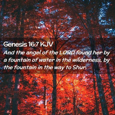 Picture 02 - Genesis 16:7 KJV - And the angel of the LORD found her by a fountain - Bible Verse Picture