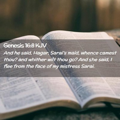 Picture 02 - Genesis 16:8 KJV - And he said, Hagar, Sarai's maid, whence camest - Bible Verse Picture