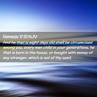 Picture 02 - Genesis 17:12 KJV - And he that is eight days old shall be - Bible Verse Picture