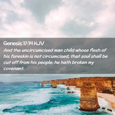 Picture 02 - Genesis 17:14 KJV - And the uncircumcised man child whose flesh of - Bible Verse Picture