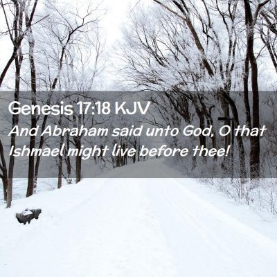 Picture 02 - Genesis 17:18 KJV - And Abraham said unto God, O that Ishmael might - Bible Verse Picture