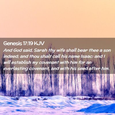 Picture 02 - Genesis 17:19 KJV - And God said, Sarah thy wife shall bear thee a - Bible Verse Picture