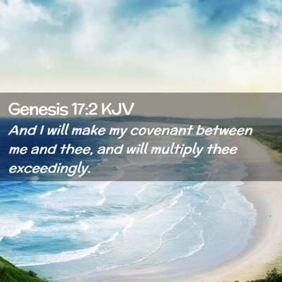 Picture 02 - Genesis 17:2 KJV - And I will make my covenant between me and thee, - Bible Verse Picture