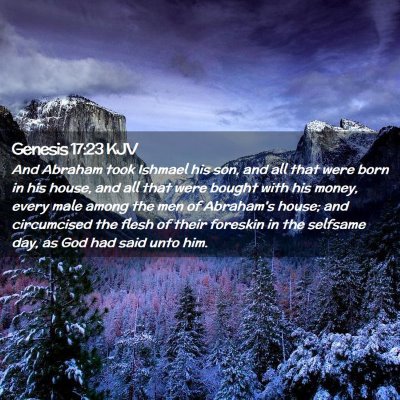 Picture 02 - Genesis 17:23 KJV - And Abraham took Ishmael his son, and all that - Bible Verse Picture