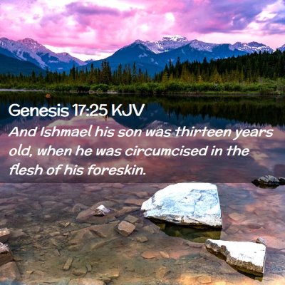 Picture 02 - Genesis 17:25 KJV - And Ishmael his son was thirteen years old, when - Bible Verse Picture