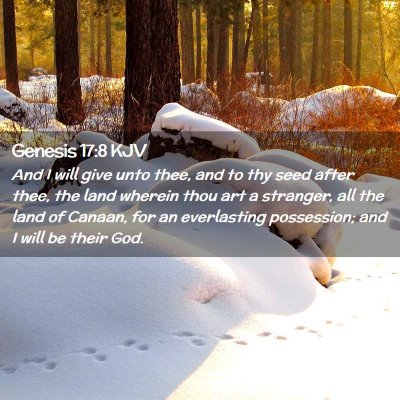 Picture 02 - Genesis 17:8 KJV - And I will give unto thee, and to thy seed after - Bible Verse Picture