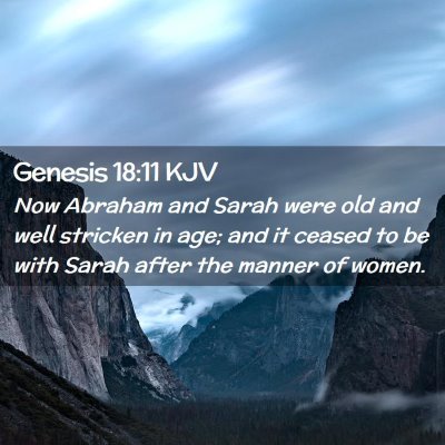 Picture 02 - Genesis 18:11 KJV - Now Abraham and Sarah were old and well stricken - Bible Verse Picture