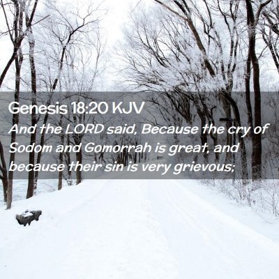 Picture 02 - Genesis 18:20 KJV - And the LORD said, Because the cry of Sodom and - Bible Verse Picture
