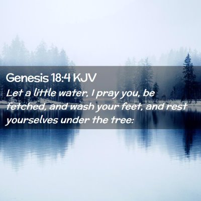 Picture 02 - Genesis 18:4 KJV - Let a little water, I pray you, be fetched, and - Bible Verse Picture