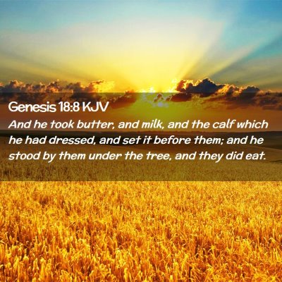 Picture 02 - Genesis 18:8 KJV - And he took butter, and milk, and the calf which - Bible Verse Picture