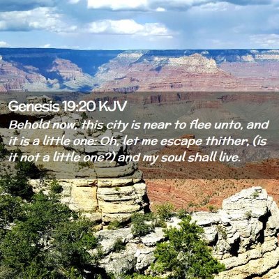 Picture 02 - Genesis 19:20 KJV - Behold now, this city is near to flee unto, and - Bible Verse Picture