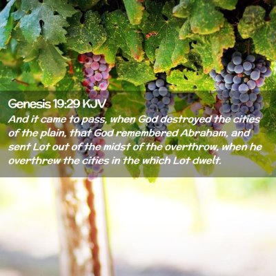 Picture 02 - Genesis 19:29 KJV - And it came to pass, when God destroyed the - Bible Verse Picture